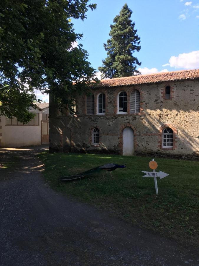 Cabanes Et Studios A La Bernardiere Sevremoine Bagian luar foto